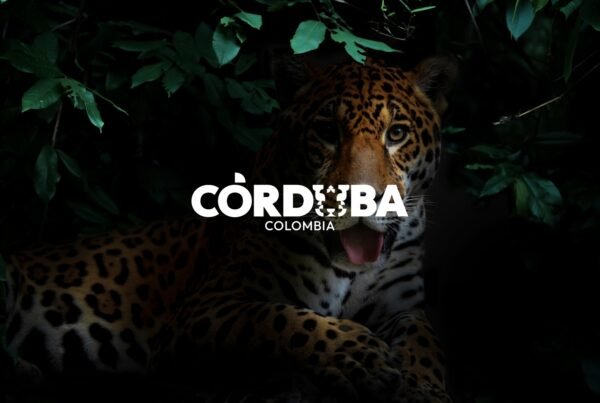Campaña creativa de marca Córdoba Colombia